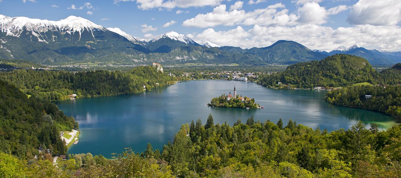 Vila Lipa Bled Buitenkant foto